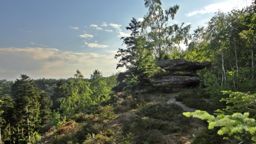 Balade VTT à la roche des druides