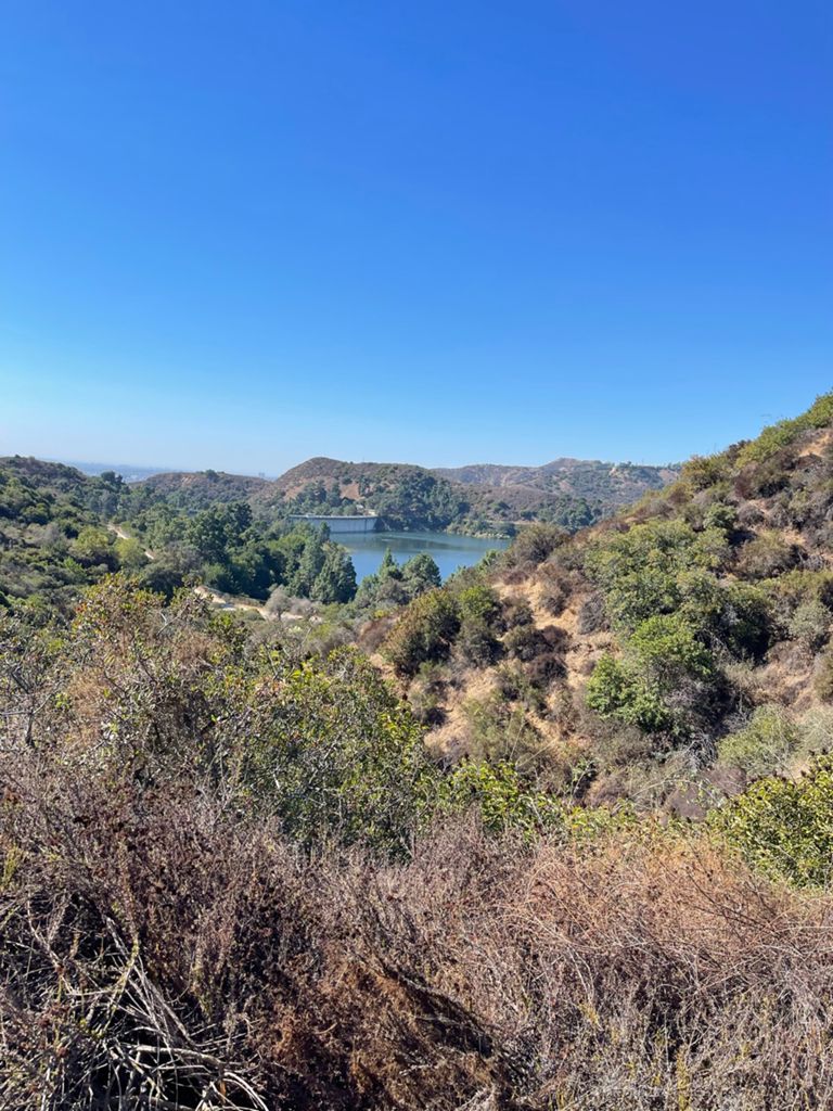 NBB run - Lake Hollywood photo 88