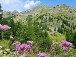 Vallée des Merveilles