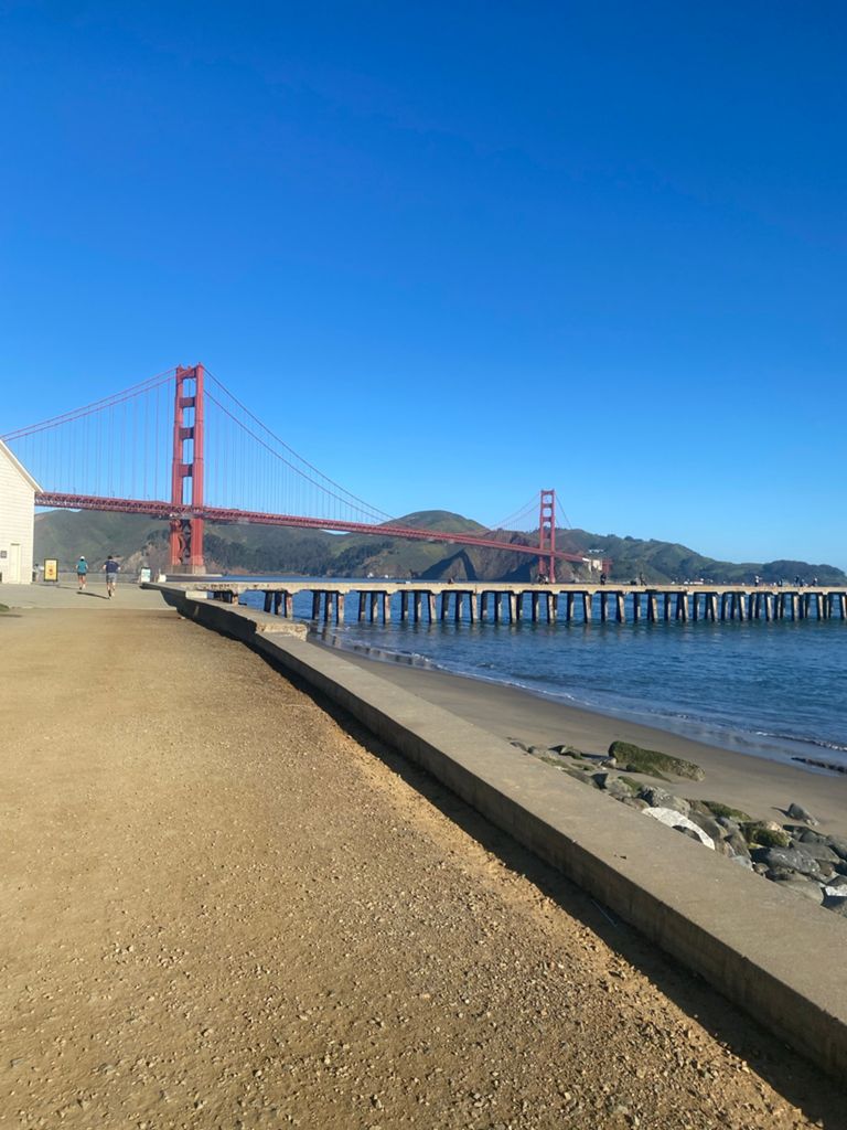 Butterlap (Presidio & Golden Gate Park) photo 112