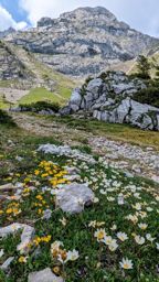 Pilatus