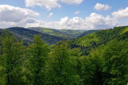 Hutlehouse Greifenstein