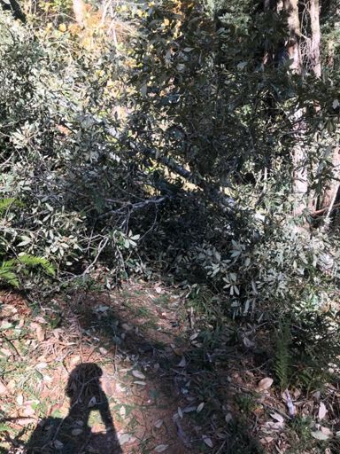 Couldn’t move this one!