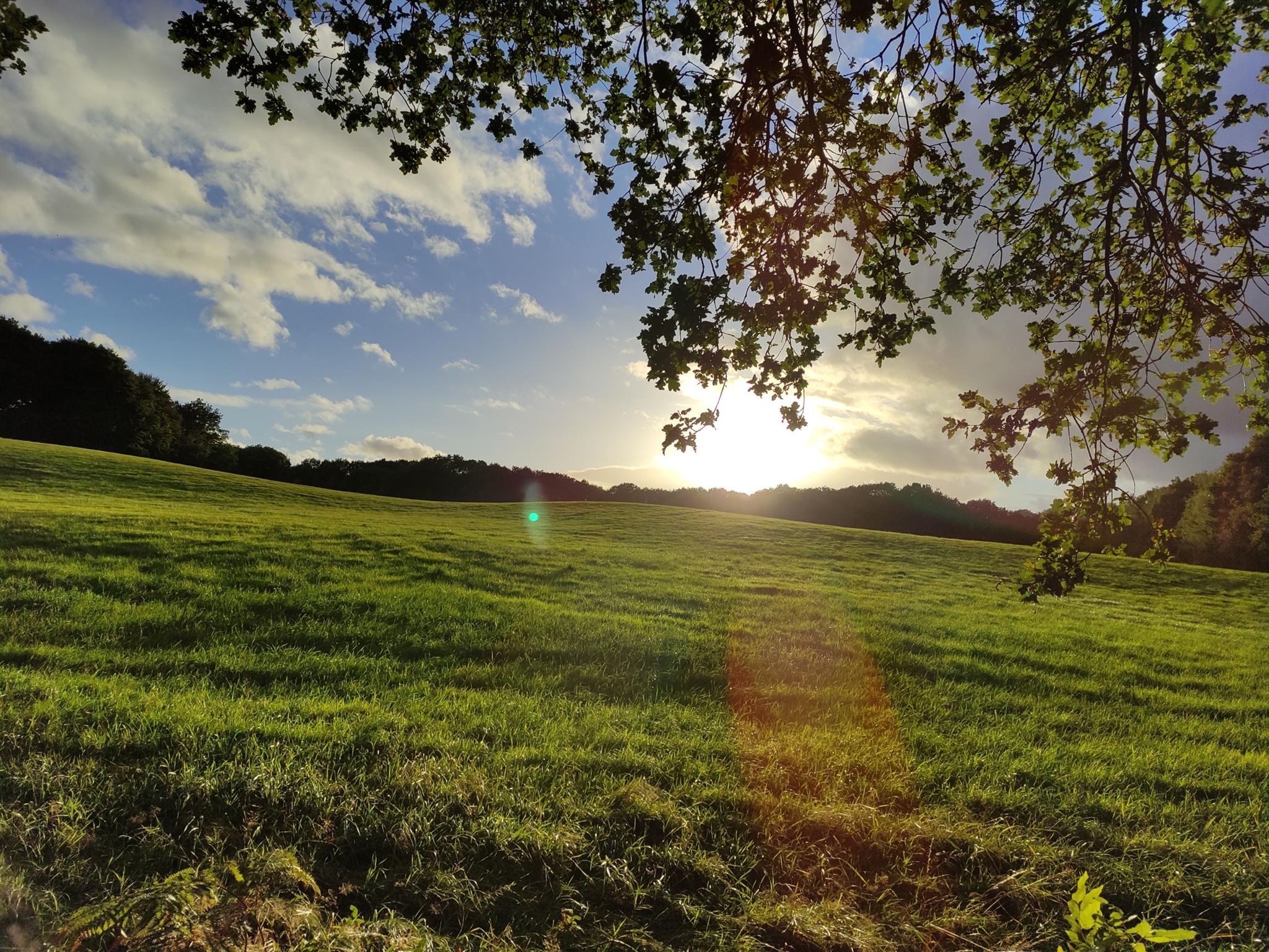 another sunset over a field