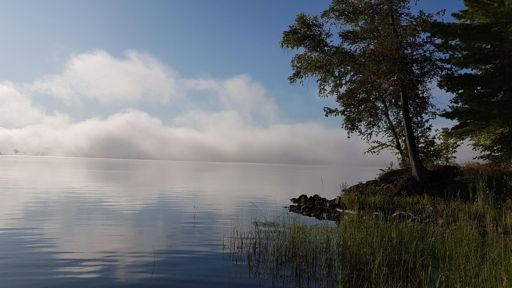 Calabogie Lake ....yesterday...clouds on the surface of the lake.