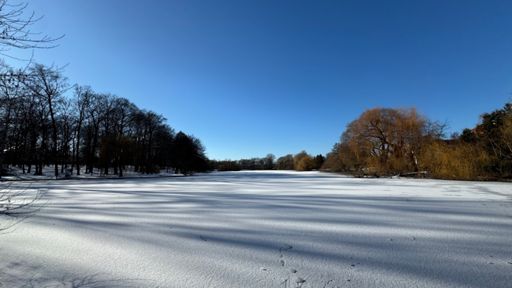 Eine Eisschicht hat sich auf dem Obersee gebildet. Nur betreten sollte man sie nicht. Noch ist sie zu dünn. ❄️