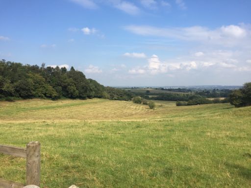 View back down towards Oxford from the top of Boars Hill