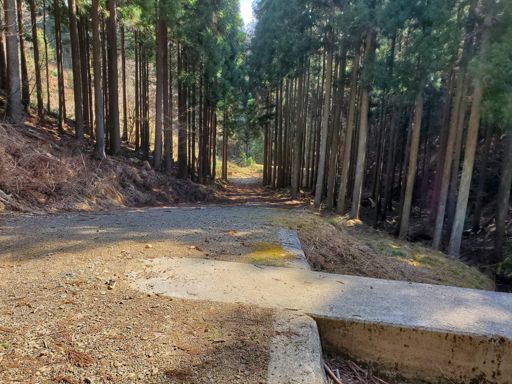 Looking back south from the end of the rideable road.