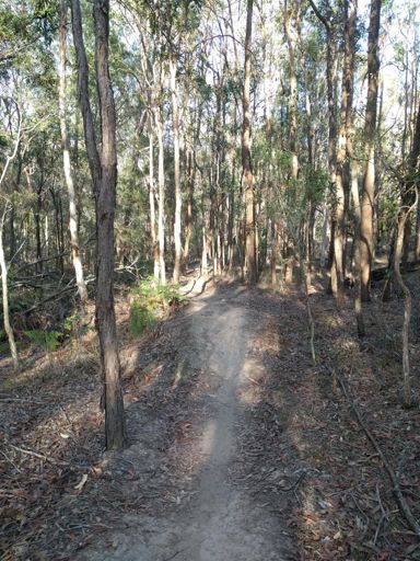 Out of the Saddle Ride em Fast