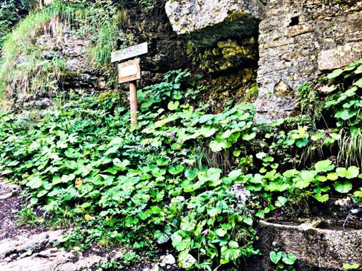 Fontana degli Alpini ( Vajo dei Modi )