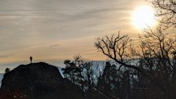 Falkenstein Ortenbourg