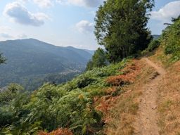 Rando hohneck mittlach