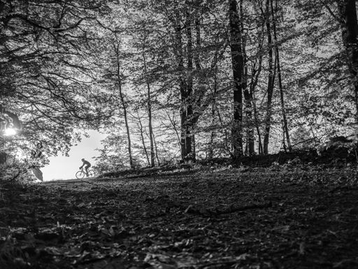 Morgens am Fronbügel ist die Welt noch in schwarz/weiß