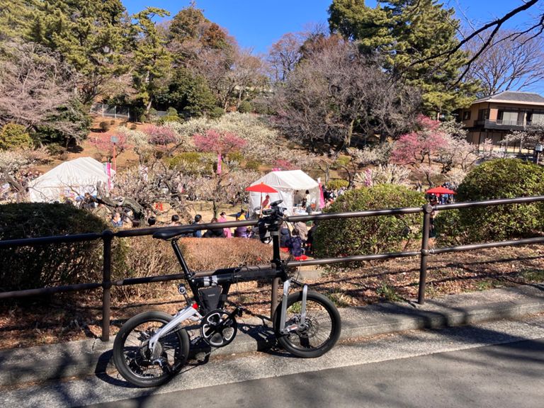大倉山梅林と三ツ池公園の梅 - 折りたたみ自転車で鉄道旅、出発輪行！