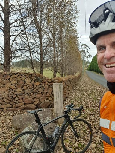 Like an English country lane!