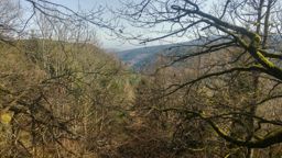 Château de Guirbaden