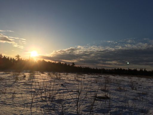 Sunrise on the crust!