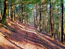 ND de la délivrance au Donon