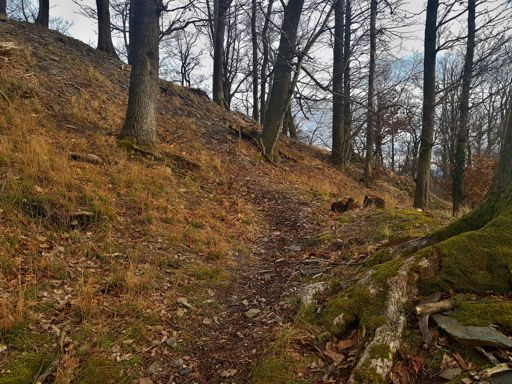 trail k hradu Drahotuš