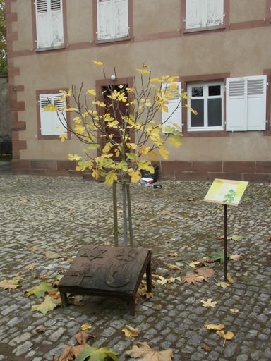 L'arbre de l'amitié