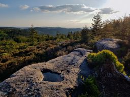 Trotte entre Vexaincourt et les Hautes Loges