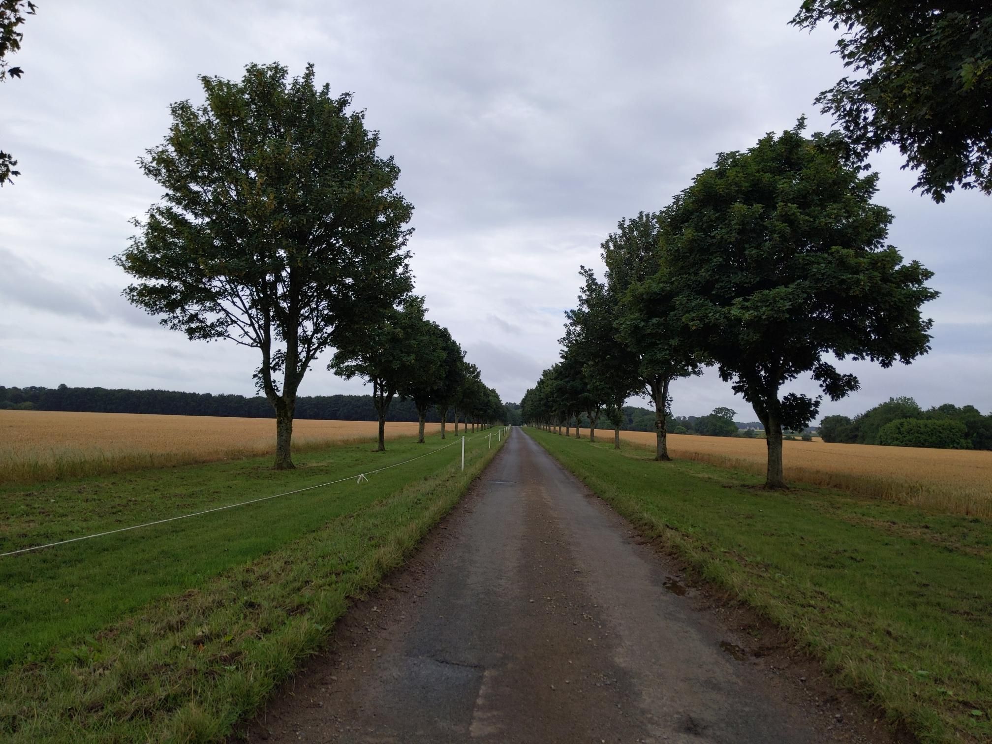 Skipton to Lands End - Day 4 photo 8