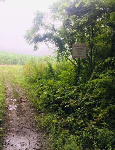 Is that a dare? Clark’s Cross Road, behind Magic Wings