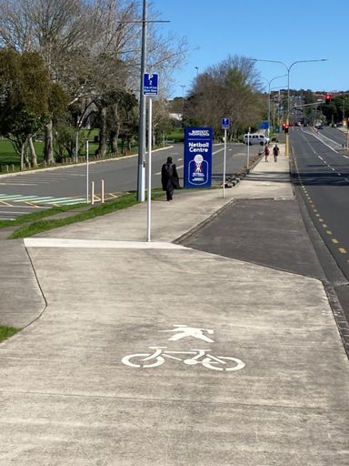 Bravo, Auckland council planning at its best. Just waiting for a “beware of the sign” sign to be erected next to it…🤨