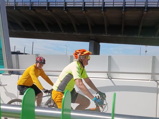 Do you think they know where they're going?!