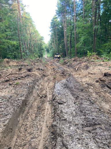 Tu latały konkretne dziki a sprobuj sie tylko zatrzymać! Bąki 🦟🪰wielkości messerschmittów atakując strącają z roweru 😱