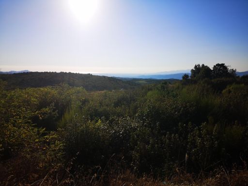 Avec la mer au bout 😍