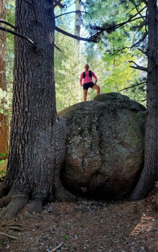 Cool bolder to climb on! Thanks to @lori Feine for the pic!