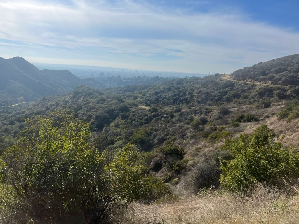 NBB run - Lake Hollywood photo 57