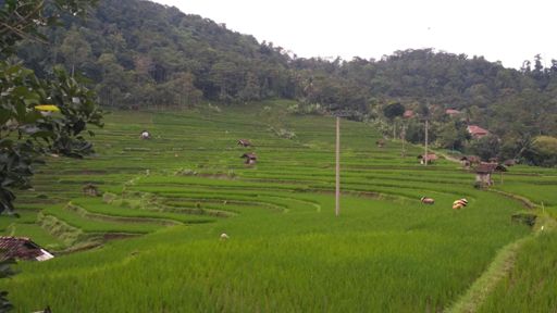 Cibaligo - Lengkong Majalengka