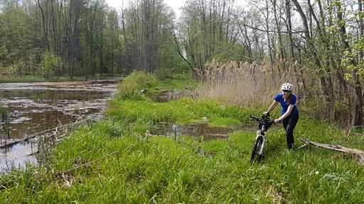 Болото после брода через Ивицу.