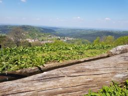 Dans les coins de Dabo