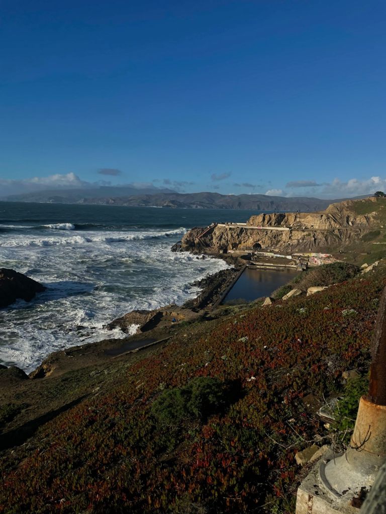 Butterlap (Presidio & Golden Gate Park) photo 146