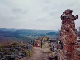 Rando trail Falkenstein