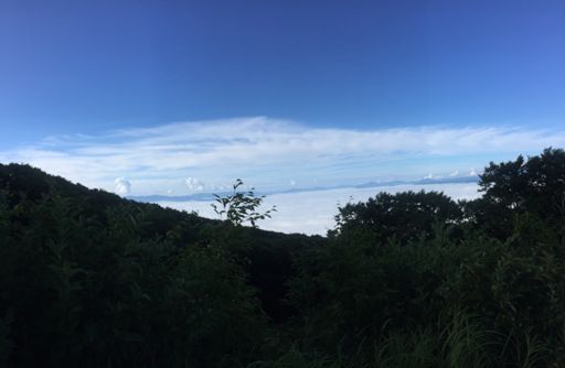 Now above the clouds