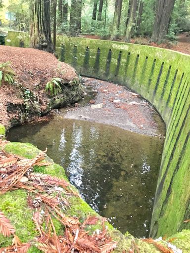 Stole Jimbei’s idea, but this is my photo.