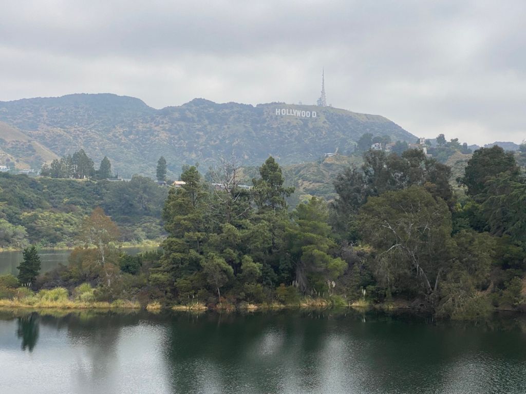 NBB run - Lake Hollywood: фото 77