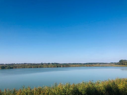 Оржицьке море