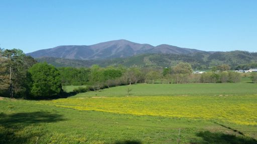 View just outside Eton