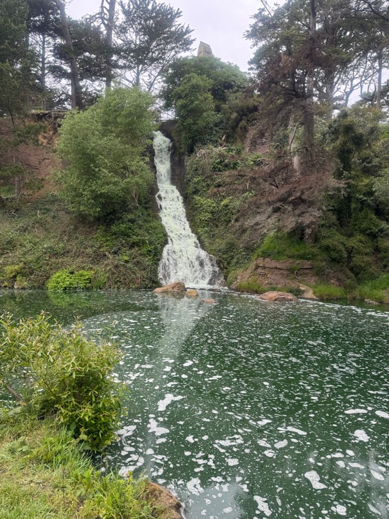 Butterlap (Presidio & Golden Gate Park) photo 151