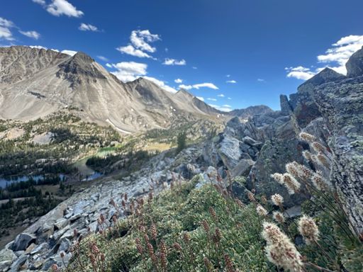 mat rock spiraea (Petrophytum caespitosum) in front of bighorn basin with caulkens peak, WCP-9, and lee peak, and o’caulkens lake