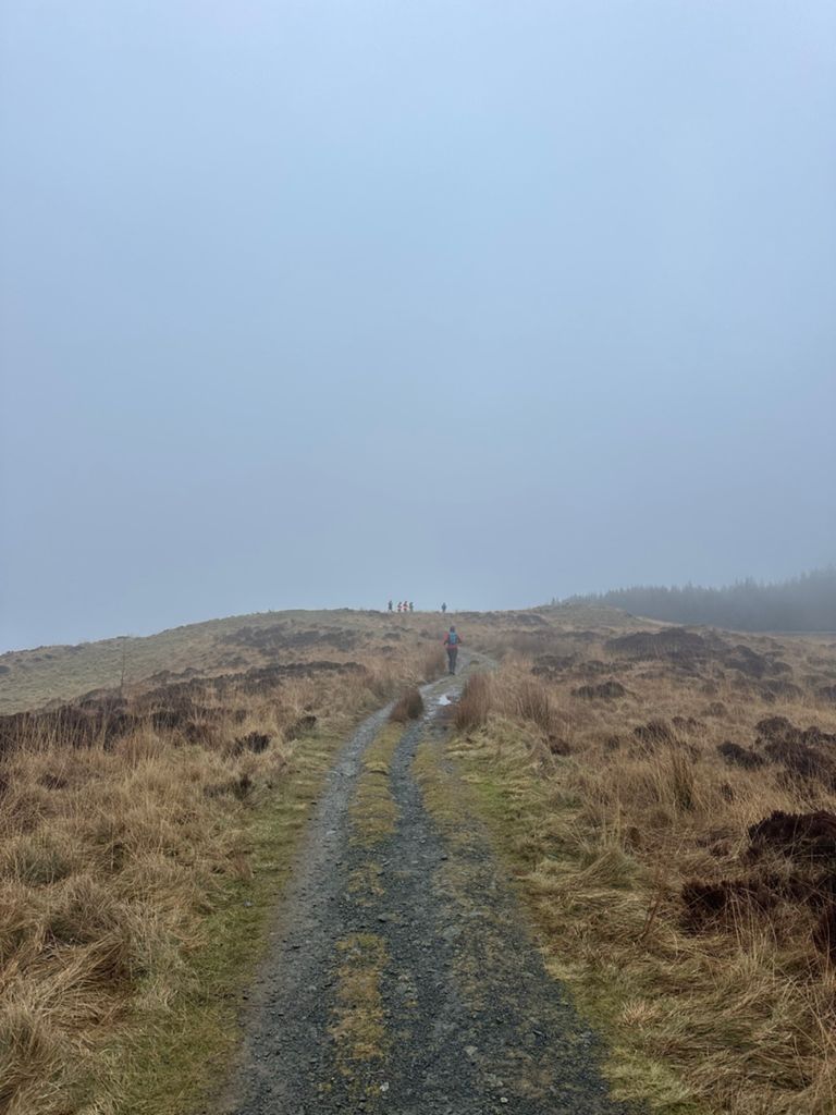 Grizedale Half-2