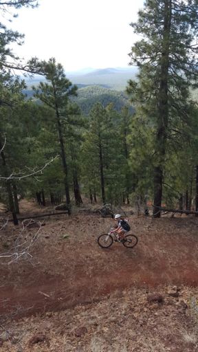 Are you up here yet???? I've been waiting....