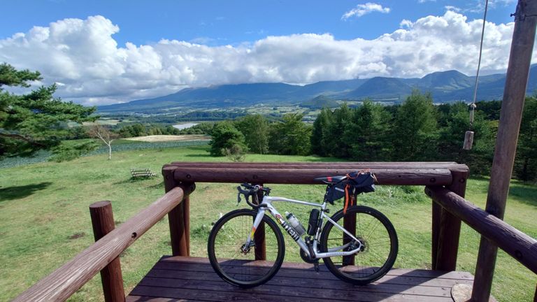 愛妻（クル）してみた😂