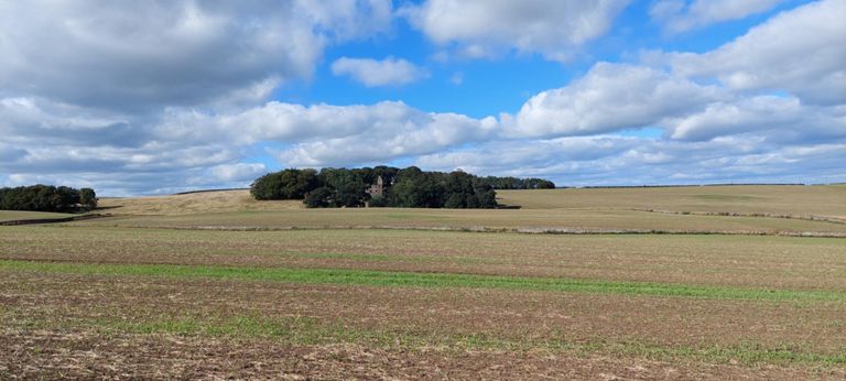 Pitteadie Castle, visible from Standing Staines Road.  I met a young woman who often walked up from Kirkcaldy where she said there were a million people in your hair and here she could be with herself and reflect. Her dad cycles.  https://youtu.be/eQ299GUE7bY   https://www.countrylife.co.uk/property/historic-castle-ruins-in-need-of-complete-renovation-222989