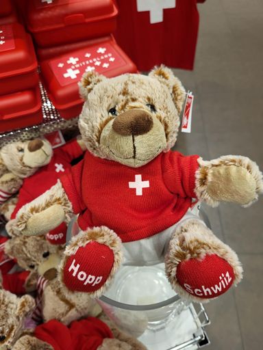 Angefeuert vom 'Hopp Schwiiz Bär' gehts doch gleich viel besser!! 😅️